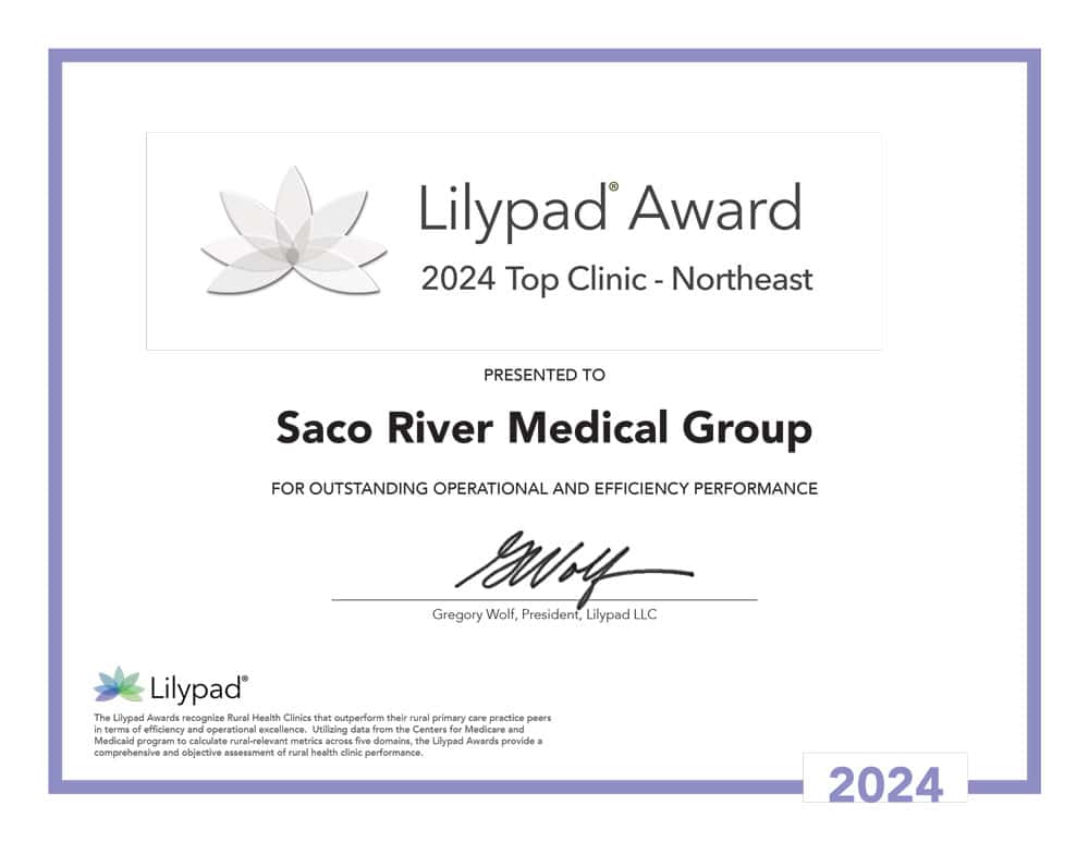 lilypad award 2024